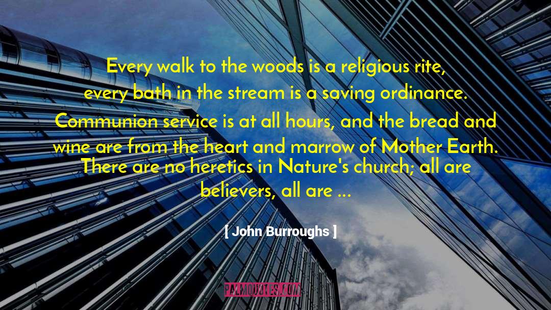 John Burroughs Quotes: Every walk to the woods