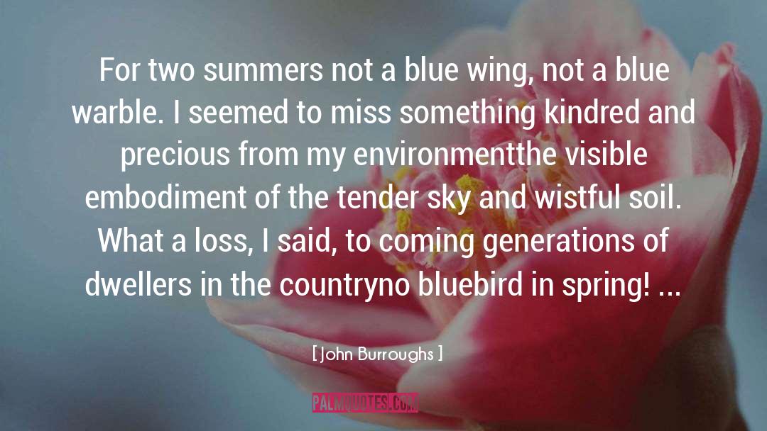 John Burroughs Quotes: For two summers not a