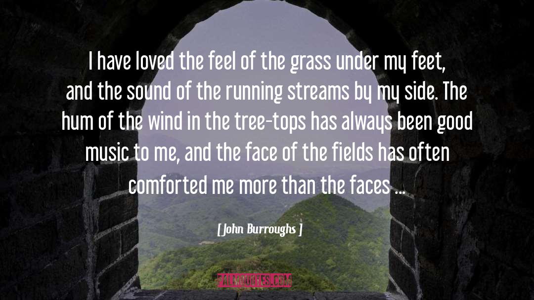 John Burroughs Quotes: I have loved the feel