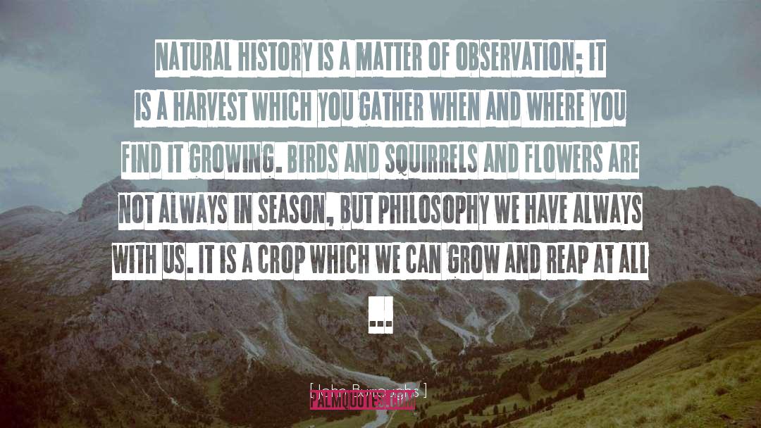 John Burroughs Quotes: Natural history is a matter