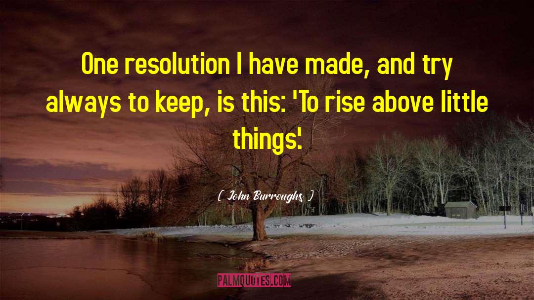 John Burroughs Quotes: One resolution I have made,