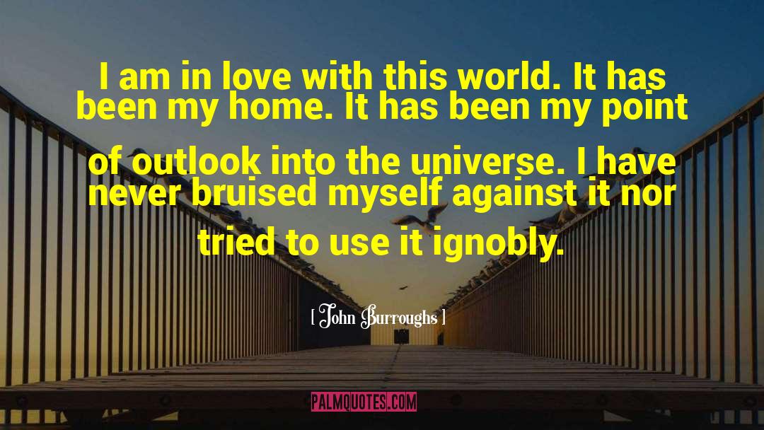 John Burroughs Quotes: I am in love with