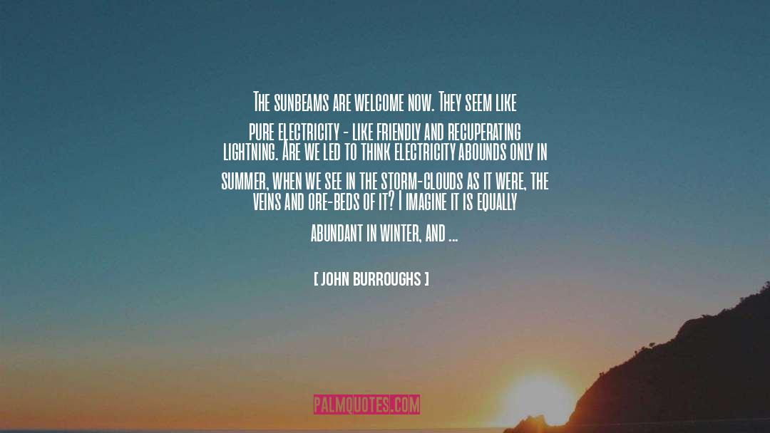 John Burroughs Quotes: The sunbeams are welcome now.