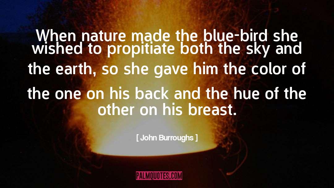John Burroughs Quotes: When nature made the blue-bird