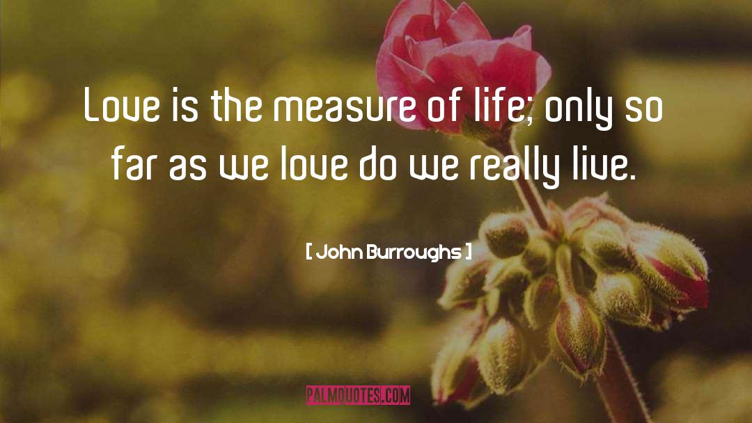 John Burroughs Quotes: Love is the measure of