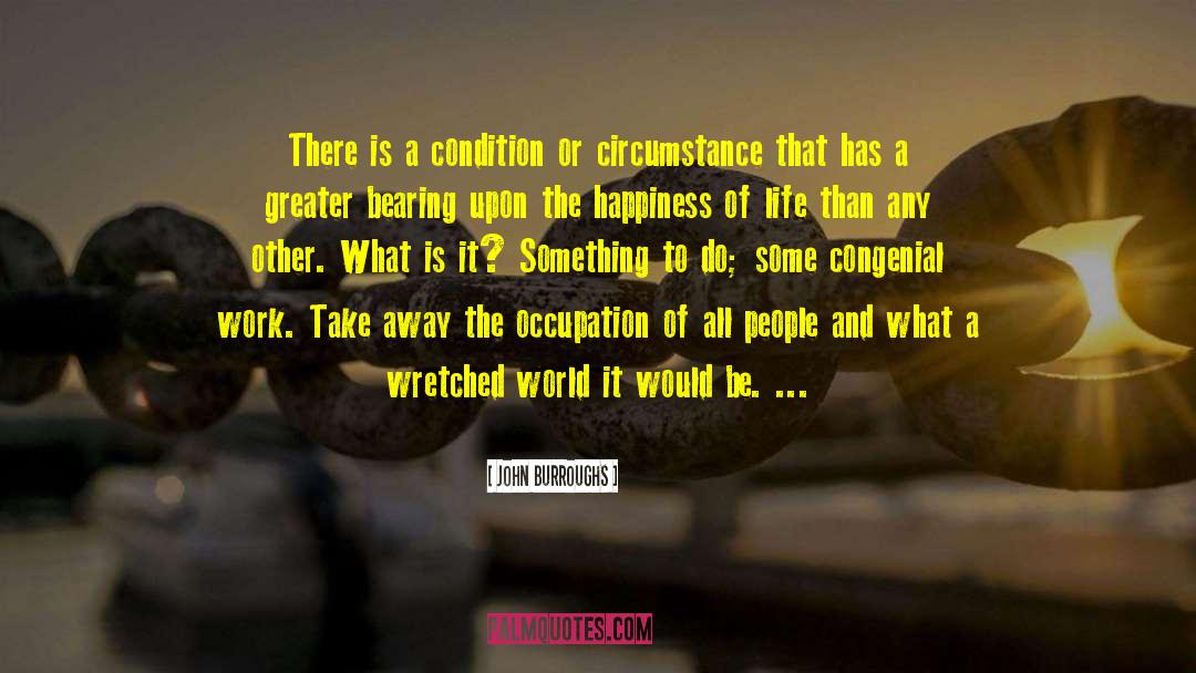 John Burroughs Quotes: There is a condition or