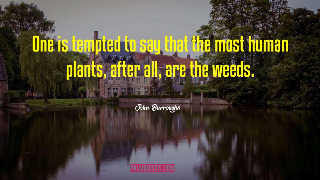 John Burroughs Quotes: One is tempted to say