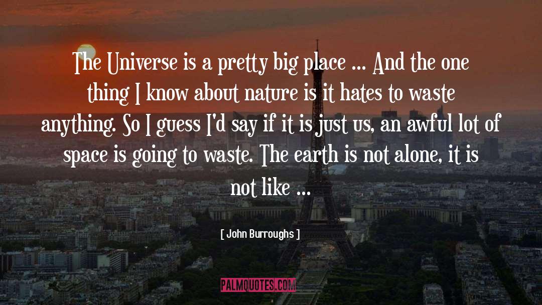 John Burroughs Quotes: The Universe is a pretty