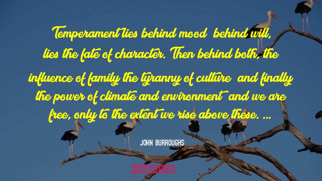 John Burroughs Quotes: Temperament lies behind mood; behind