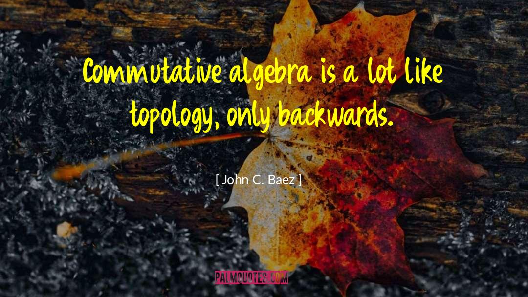 John C. Baez Quotes: Commutative algebra is a lot