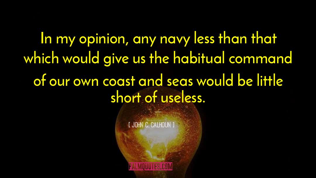 John C. Calhoun Quotes: In my opinion, any navy