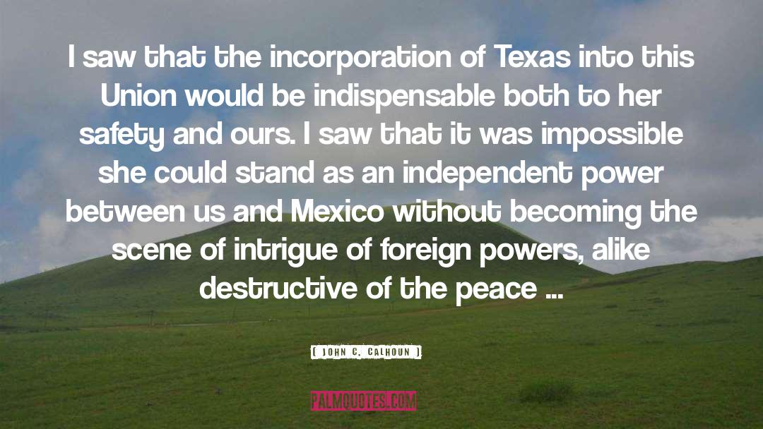 John C. Calhoun Quotes: I saw that the incorporation