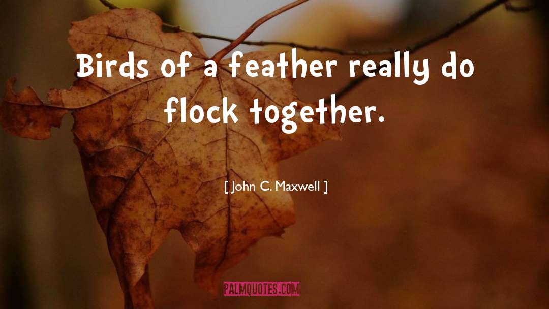 John C. Maxwell Quotes: Birds of a feather really