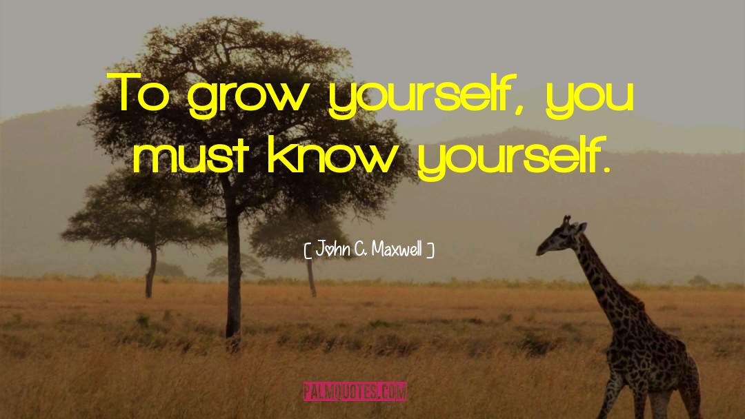 John C. Maxwell Quotes: To grow yourself, you must