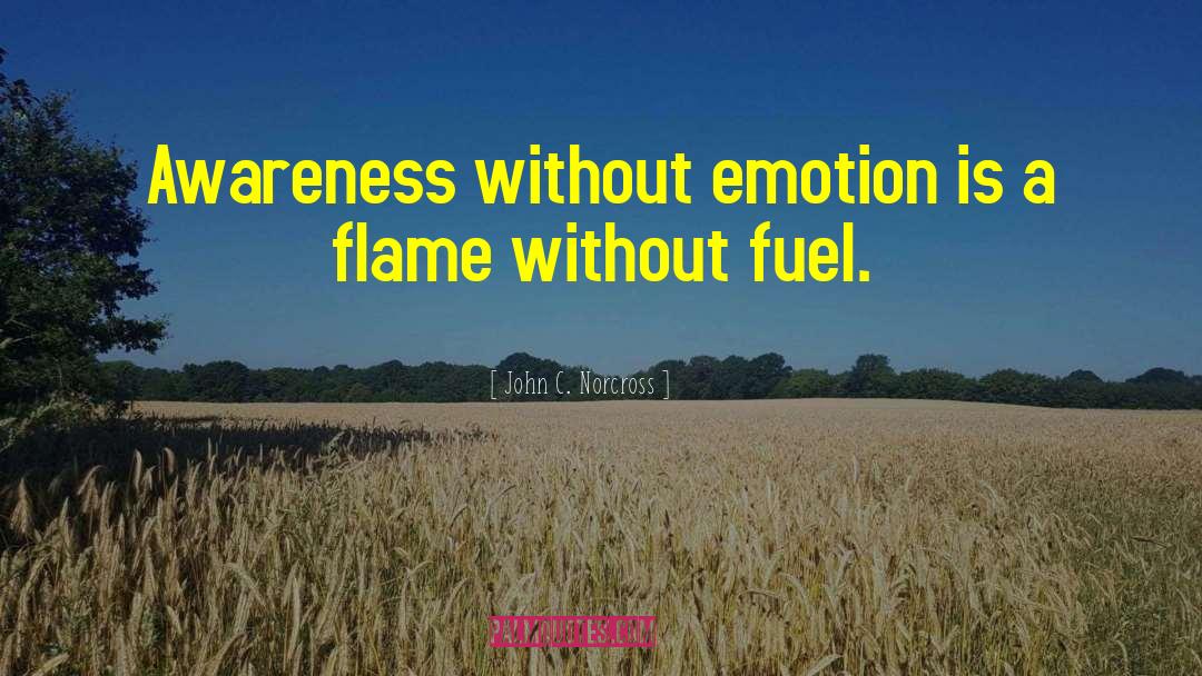 John C. Norcross Quotes: Awareness without emotion is a