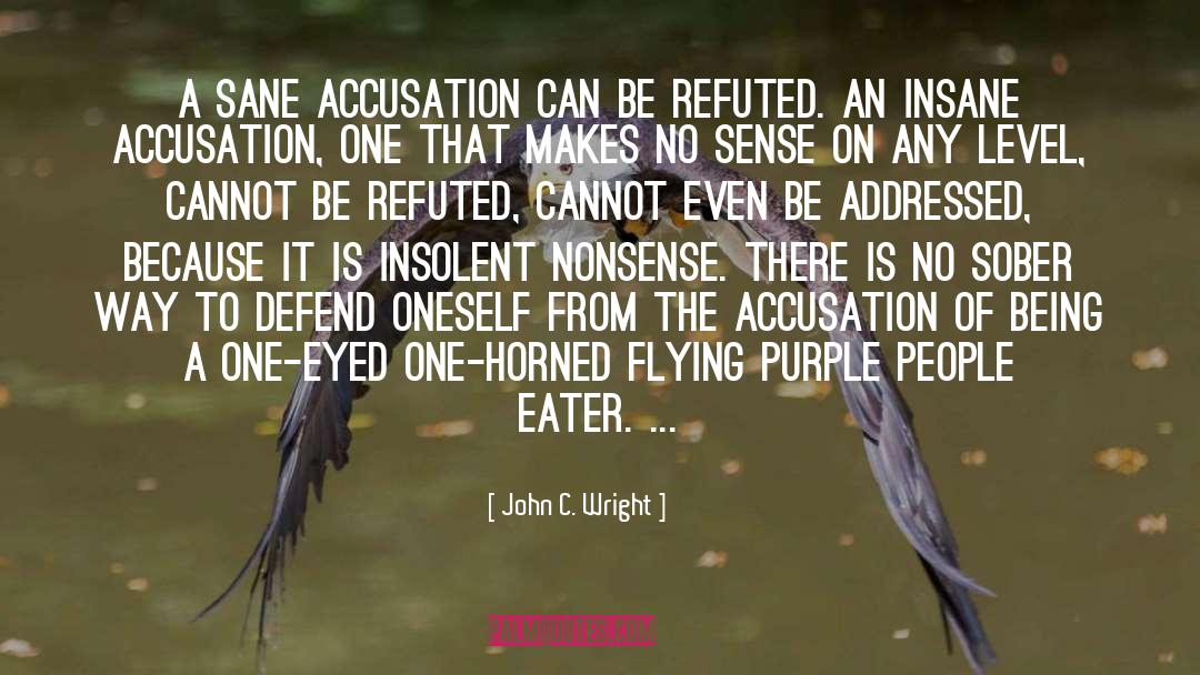 John C. Wright Quotes: A sane accusation can be