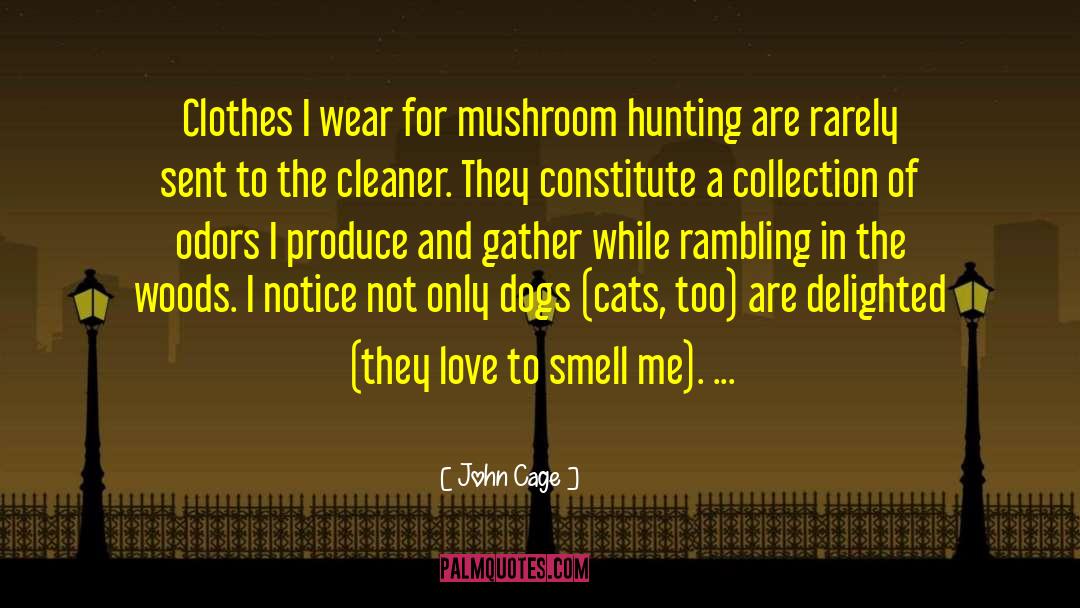 John Cage Quotes: Clothes I wear for mushroom