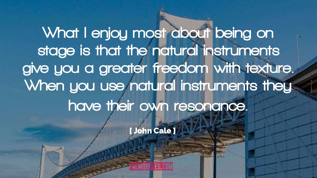 John Cale Quotes: What I enjoy most about