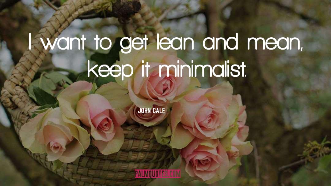 John Cale Quotes: I want to get lean