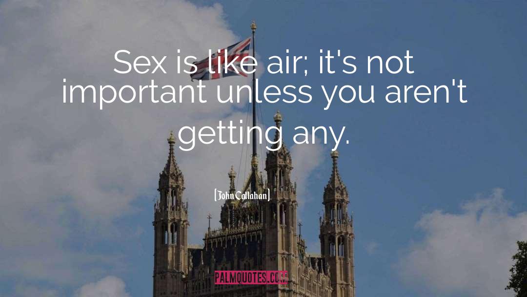 John Callahan Quotes: Sex is like air; it's