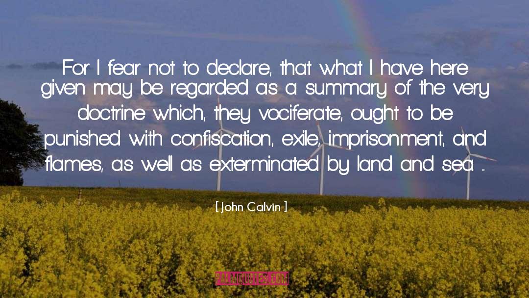 John Calvin Quotes: For I fear not to