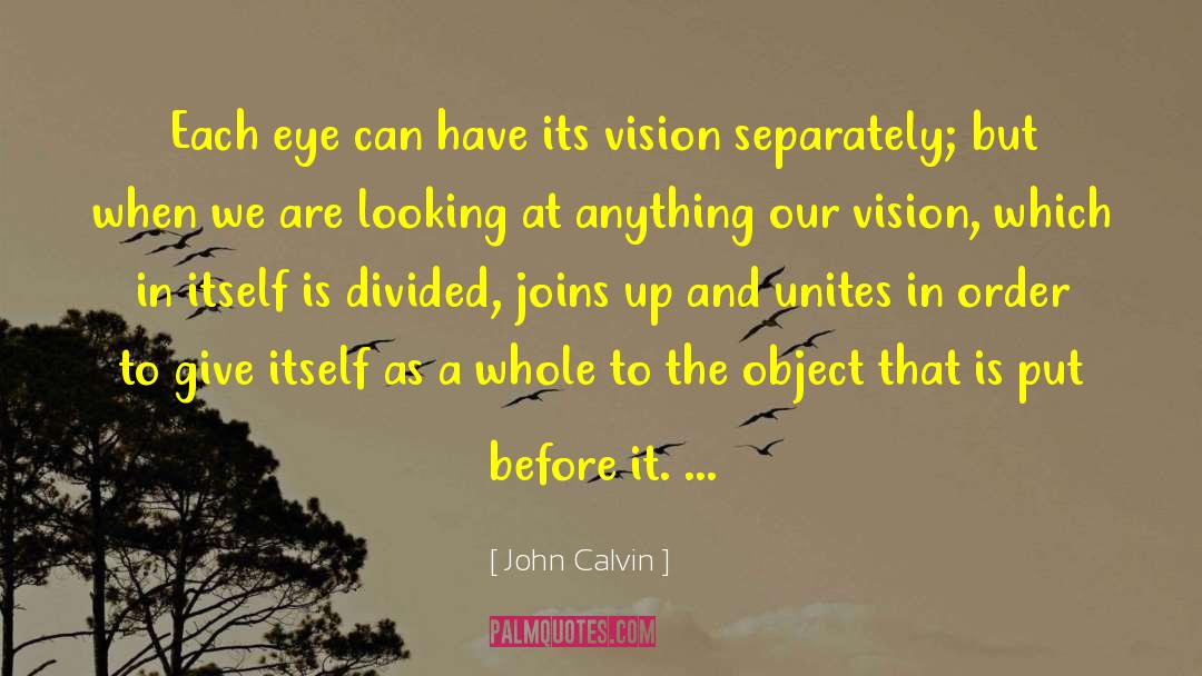 John Calvin Quotes: Each eye can have its