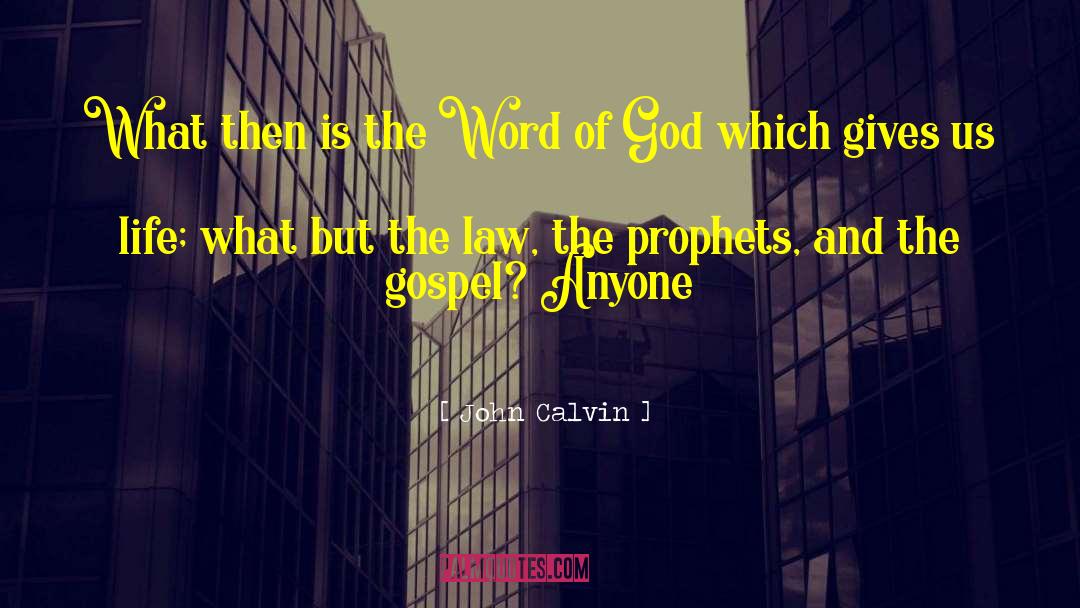 John Calvin Quotes: What then is the Word