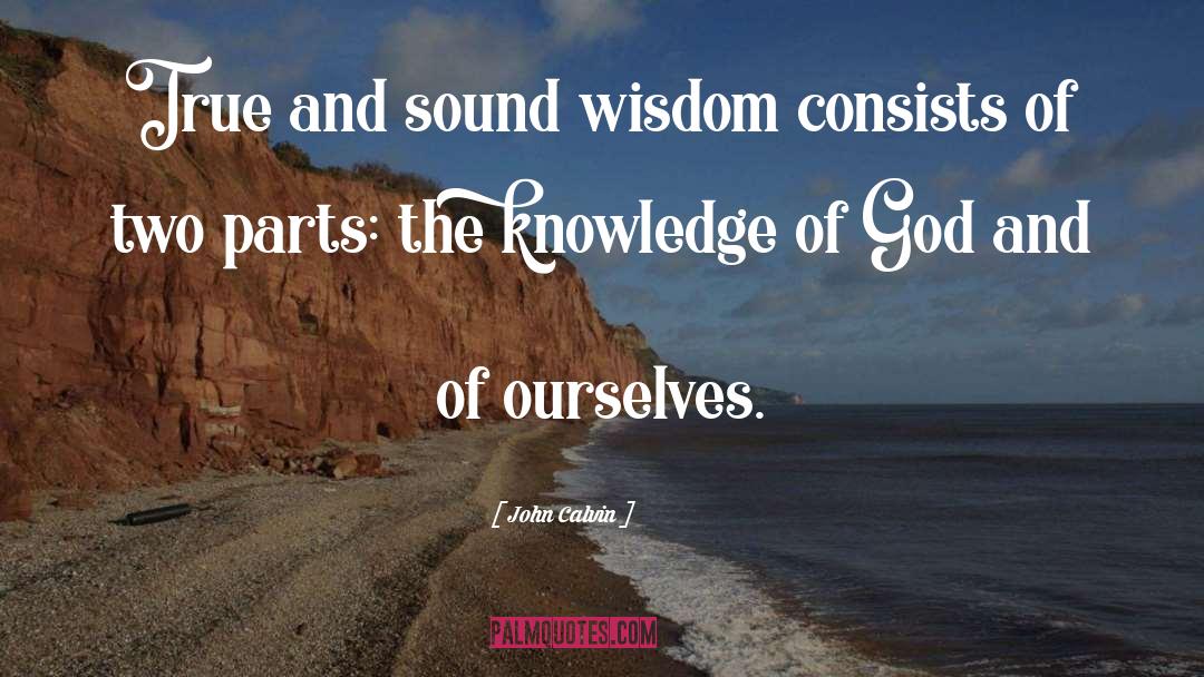 John Calvin Quotes: True and sound wisdom consists