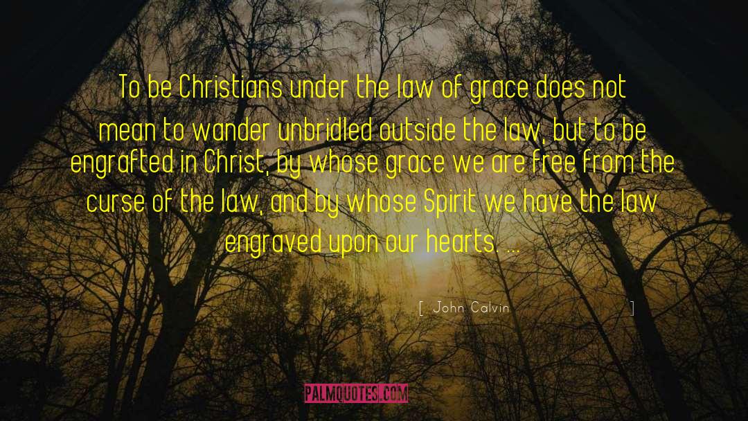 John Calvin Quotes: To be Christians under the