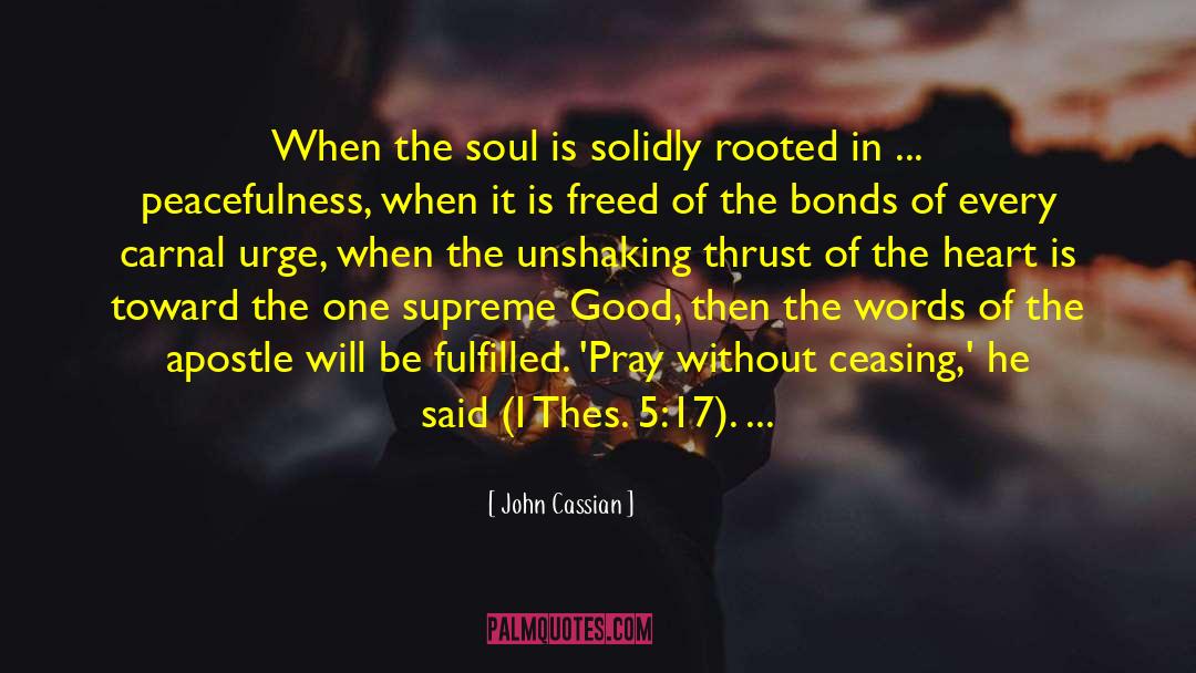 John Cassian Quotes: When the soul is solidly