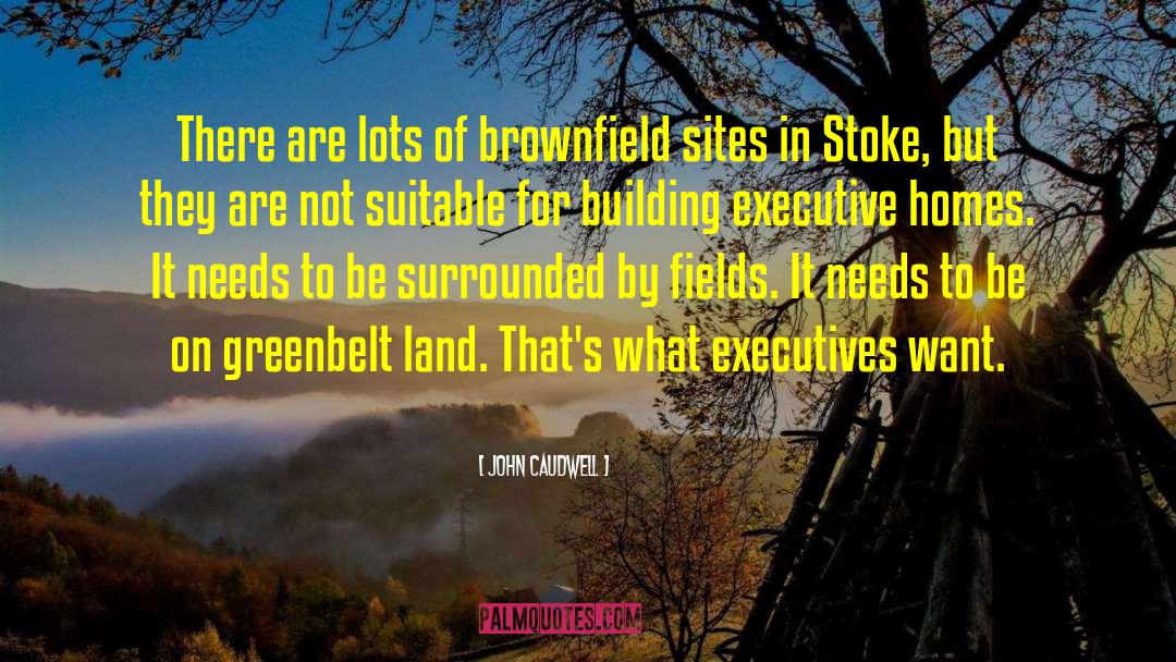 John Caudwell Quotes: There are lots of brownfield