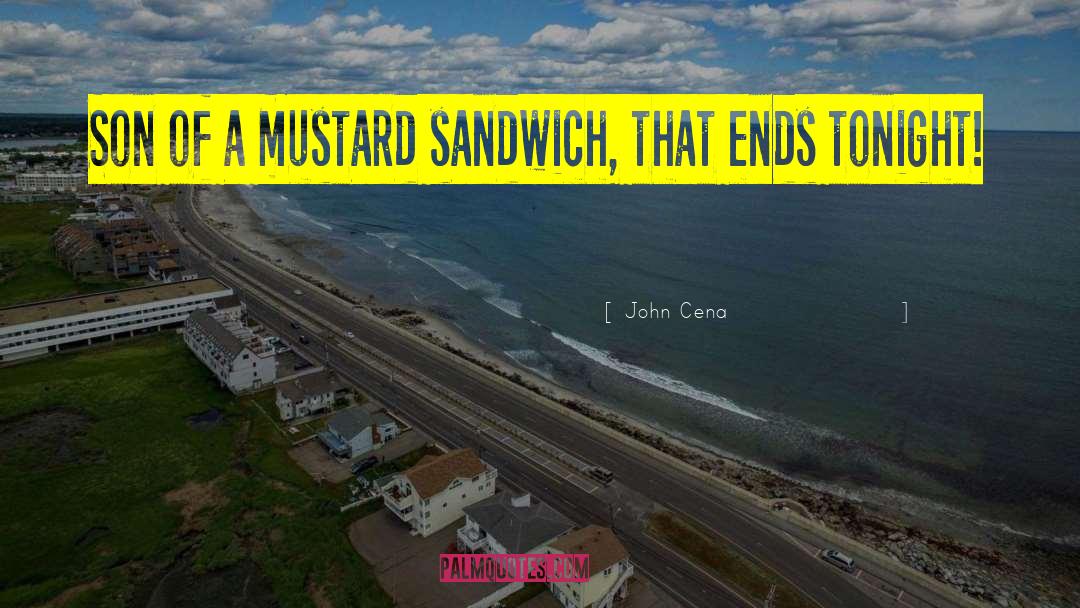 John Cena Quotes: Son of a mustard sandwich,