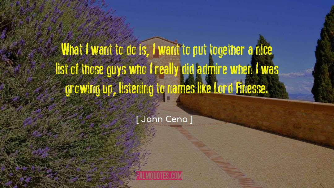 John Cena Quotes: What I want to do