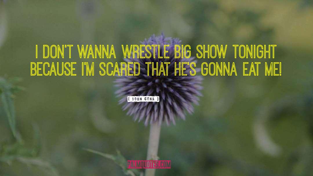 John Cena Quotes: I don't wanna wrestle Big