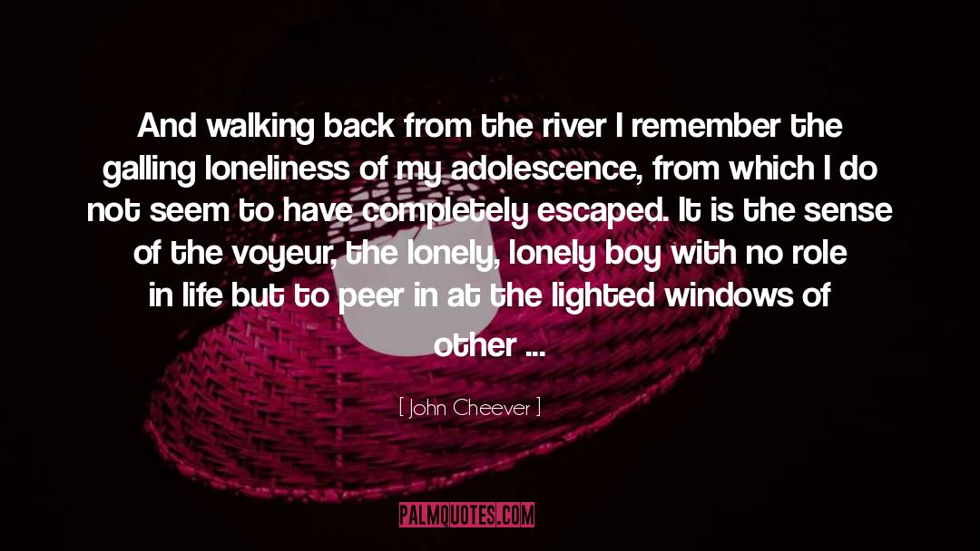 John Cheever Quotes: And walking back from the