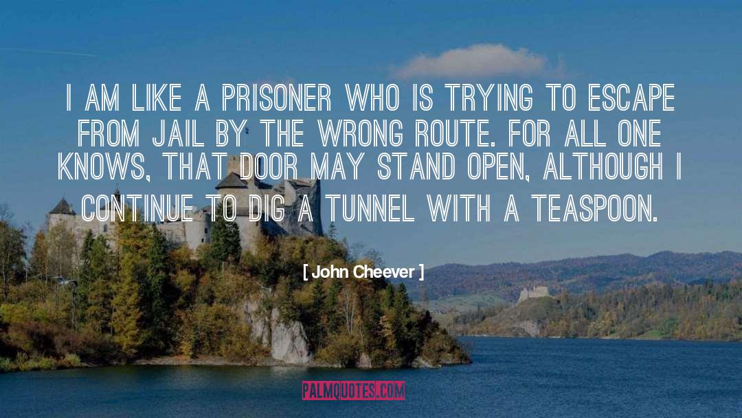 John Cheever Quotes: I am like a prisoner