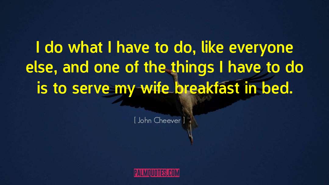 John Cheever Quotes: I do what I have