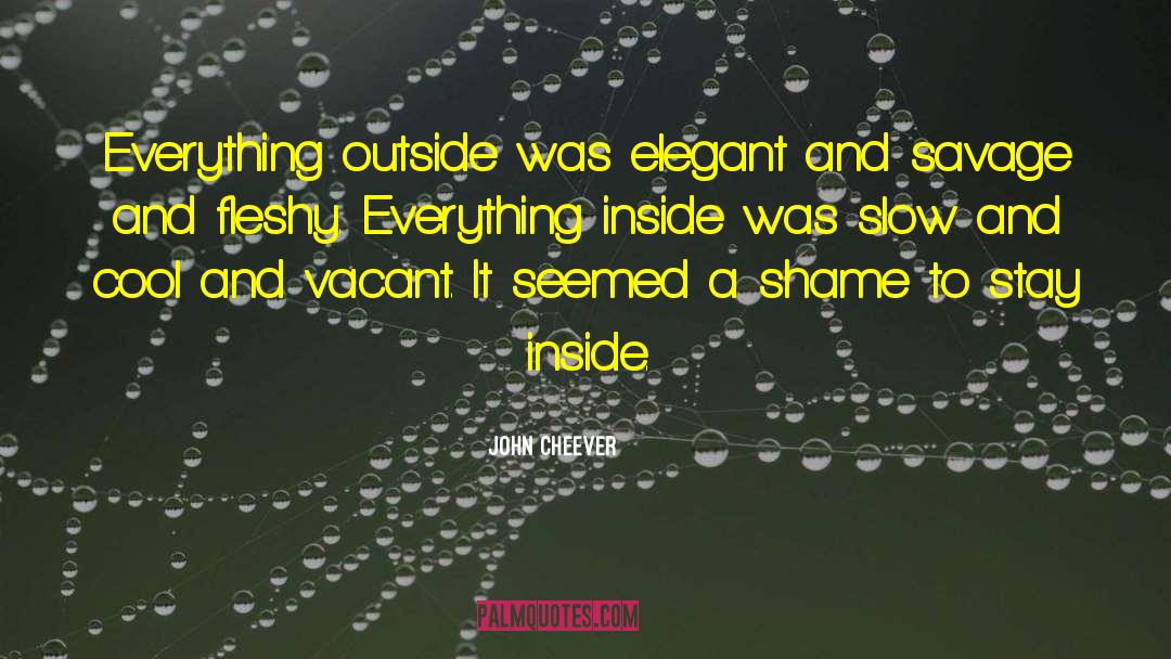 John Cheever Quotes: Everything outside was elegant and