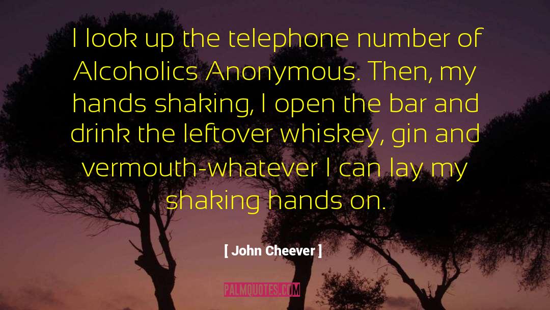 John Cheever Quotes: I look up the telephone