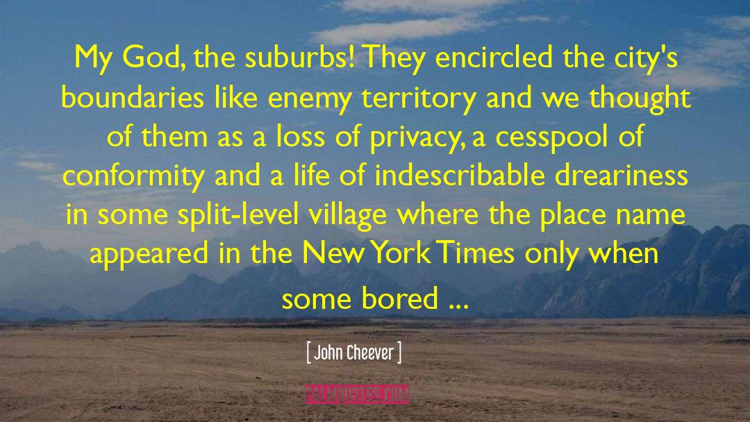 John Cheever Quotes: My God, the suburbs! They
