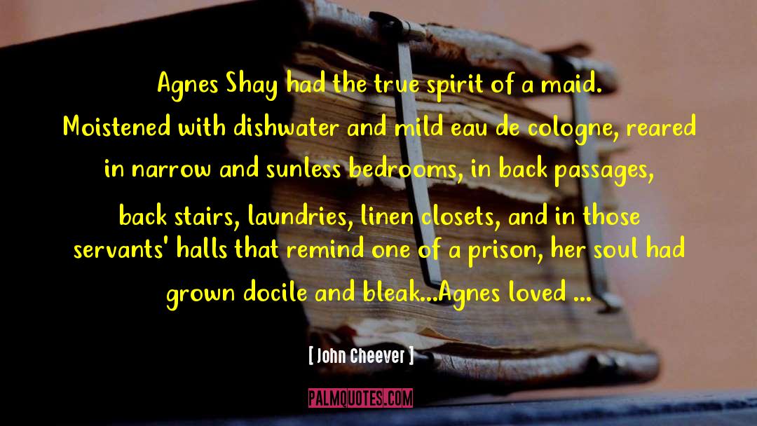 John Cheever Quotes: Agnes Shay had the true