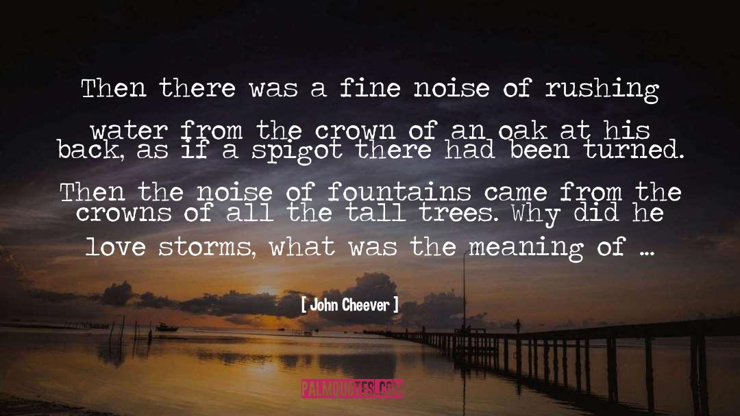 John Cheever Quotes: Then there was a fine