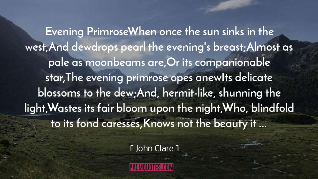 John Clare Quotes: Evening Primrose<br /><br />When once