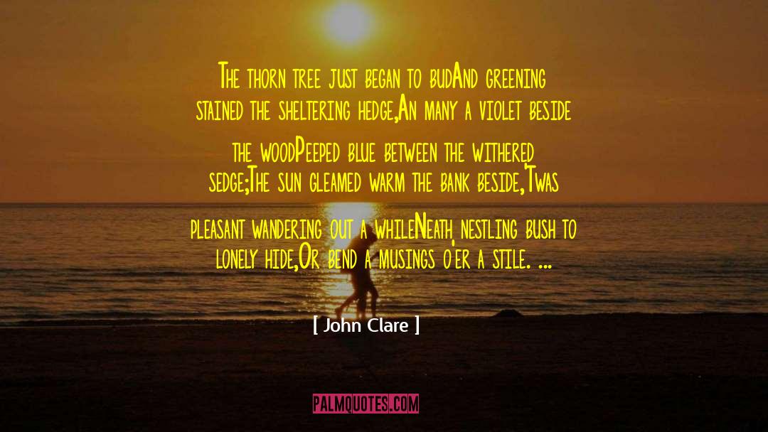 John Clare Quotes: The thorn tree just began