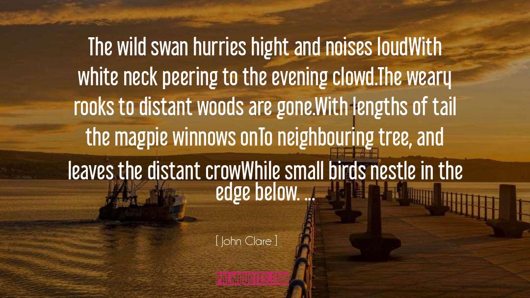 John Clare Quotes: The wild swan hurries hight