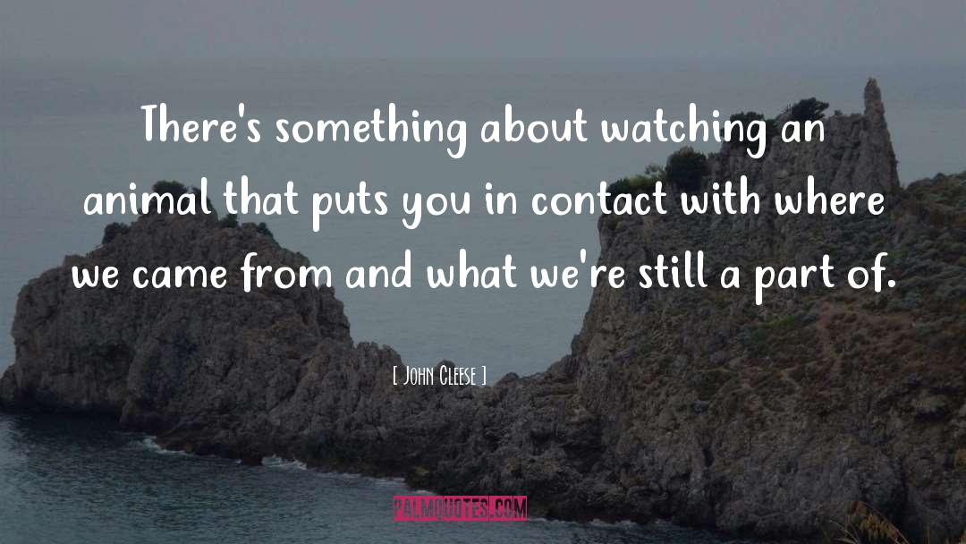 John Cleese Quotes: There's something about watching an