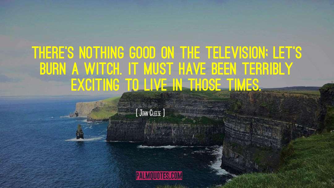 John Cleese Quotes: There's nothing good on the