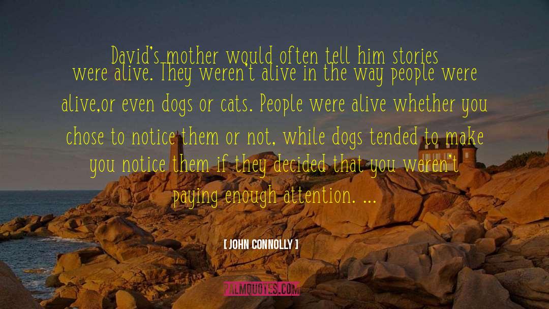 John Connolly Quotes: David's mother would often tell