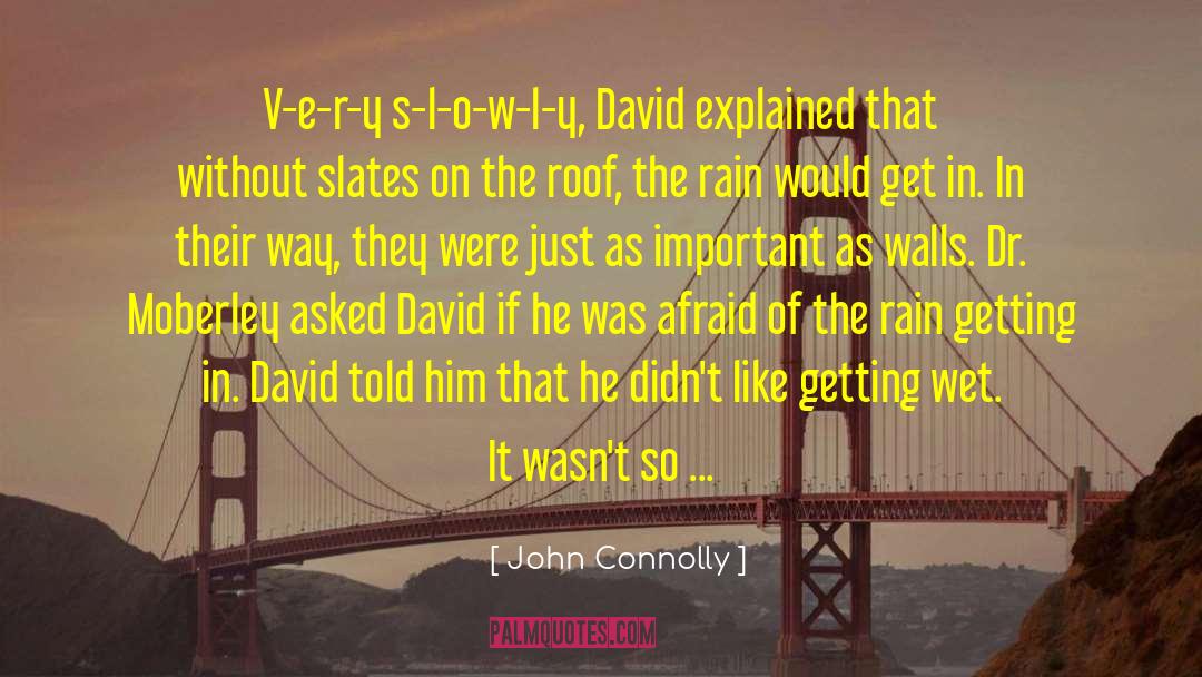 John Connolly Quotes: V-e-r-y s-l-o-w-l-y, David explained that