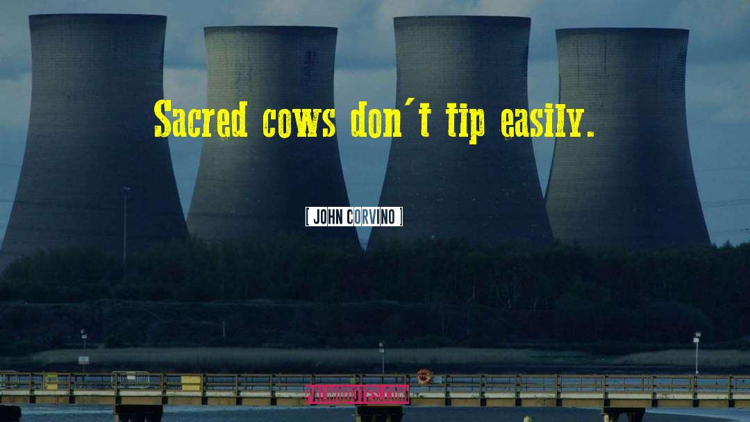 John Corvino Quotes: Sacred cows don't tip easily.